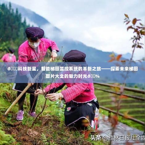 科技新星，智能梯田监控系统革新之旅，未来梯田图片的魅力时光探索