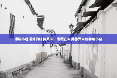 岁月巷弄中的独特风味,小巷深处的特色小店探秘
