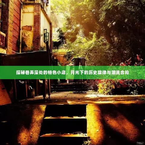 巷弄深处的特色小店,历史旋律与潮流的月光探秘