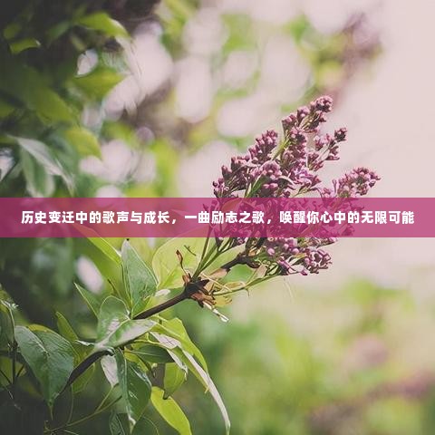 历史变迁中的歌声与成长,唤醒无限可能的励志之歌