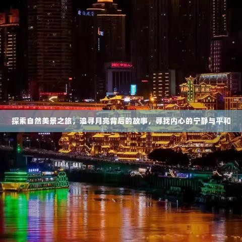 没张倒置 第4页