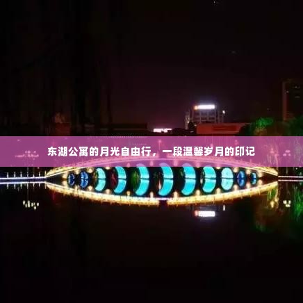 东湖公寓月光下的温馨岁月自由行