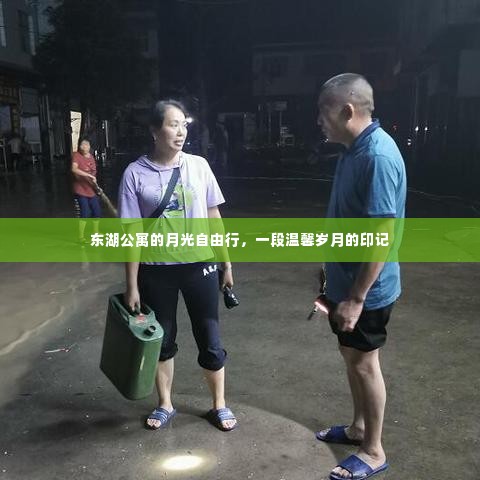 东湖公寓月光下的温馨岁月自由行