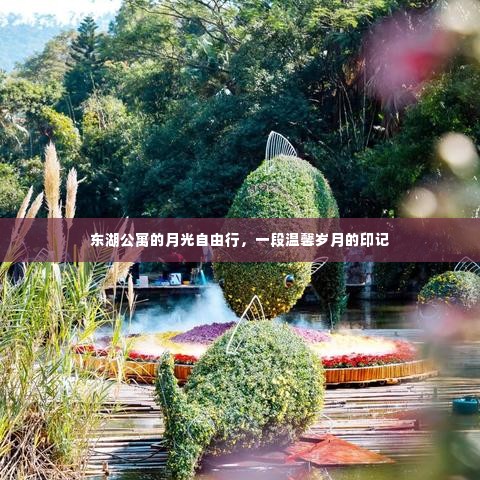 东湖公寓月光下的温馨岁月自由行