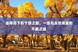月下追寻宁静之旅,与自然美景的邂逅奇缘