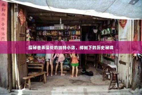 樟树下的秘境,巷弄深处的独特小店探秘