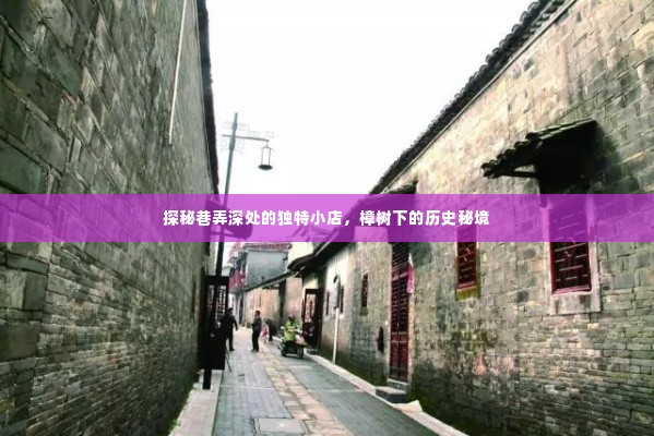 樟树下的秘境,巷弄深处的独特小店探秘