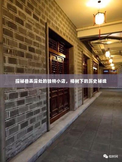 樟树下的秘境,巷弄深处的独特小店探秘