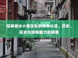 衡水小巷深处的独特小店,历史、投资与魅力的探秘之旅