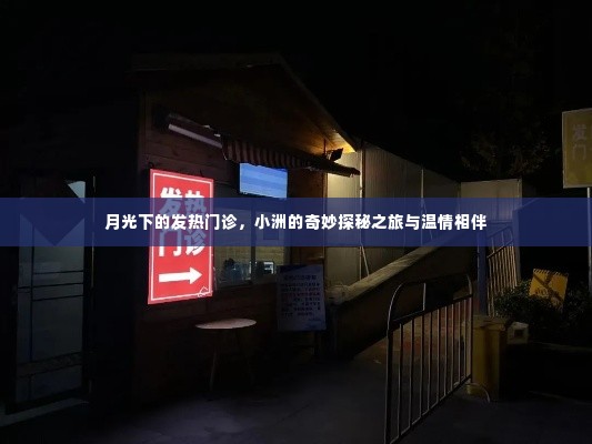 月光下的发热门诊,小洲的探秘之旅与温情相伴