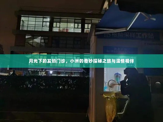 月光下的发热门诊,小洲的探秘之旅与温情相伴