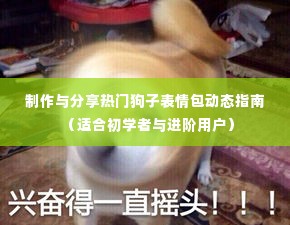 热门狗子表情包制作与分享动态指南,初学者与进阶用户实操指南