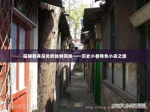 历史小巷特色小店之旅,探秘巷弄深处的独特风味