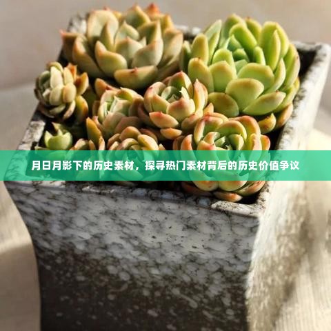 月影之下的历史素材，探寻热门背后的历史价值争议