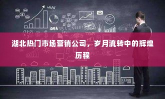 湖北市场营销巨头，岁月流转中的辉煌历程