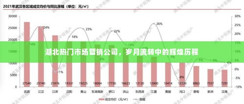 湖北市场营销巨头,岁月流转中的辉煌历程