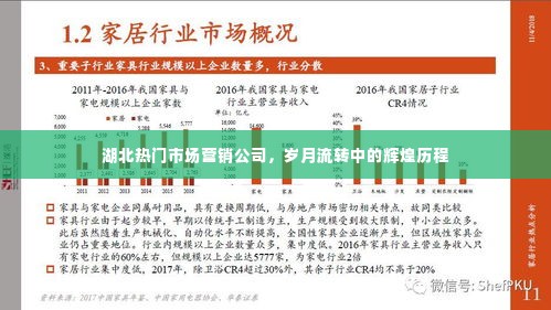 湖北市场营销巨头,岁月流转中的辉煌历程