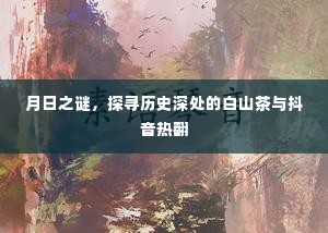 月日之谜,白山茶的历史深处与抖音热潮探索