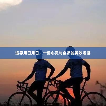 追寻月日月日,心灵与自然的奇妙之旅