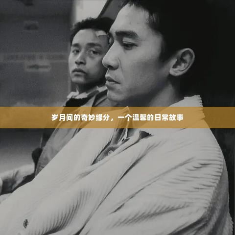 岁月缘分的温馨日常故事