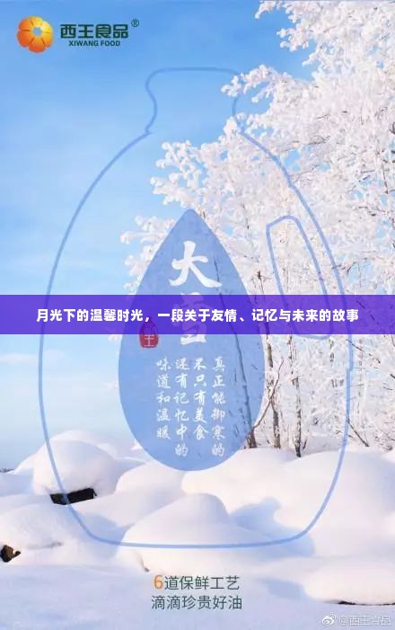 月光下的友情记忆,温馨时光与未来展望