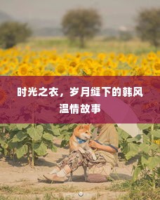 时光之衣,韩风温情岁月的缝绻故事