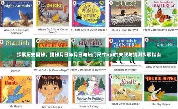 揭秘历史奥秘,月日年月日与热门尺寸BJD的关联探索步骤指南