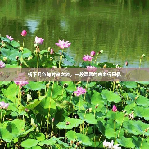 桥下月色下的自由行回忆,时光之约中的温馨之旅