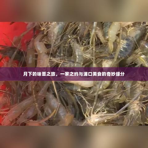 月下味蕾之旅,家庭之约与浦口美食的奇缘