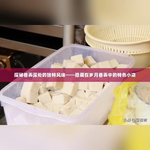 岁月巷弄中的独特风味探秘,特色小店隐藏其中