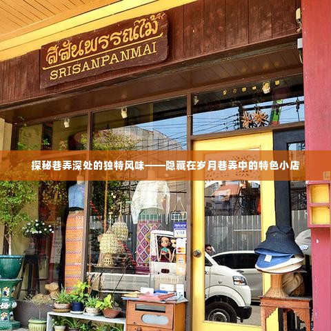 岁月巷弄中的独特风味探秘,特色小店隐藏其中