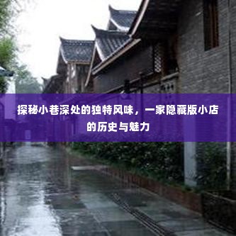 探秘隐藏版小巷美食,一家独特风味小店的魅力历史之旅