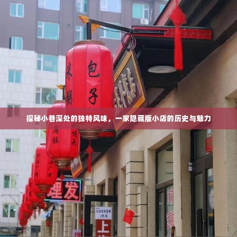 探秘隐藏版小巷美食,一家独特风味小店的魅力历史之旅