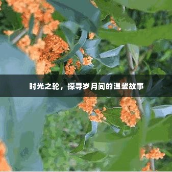 时光之轮,探寻温馨岁月的故事