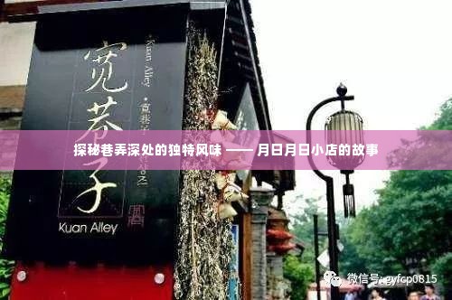 巷弄深处的独特风味探秘,月日月日小店的传奇故事