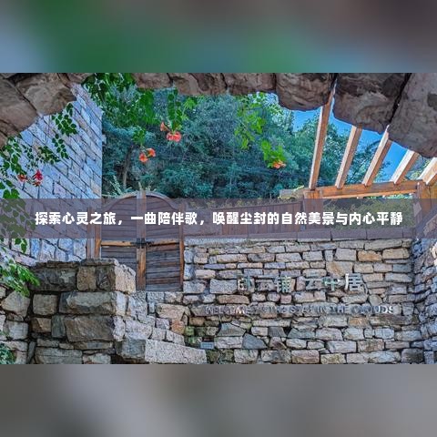 心灵探索之旅,唤醒自然美景与内心平静的陪伴之歌