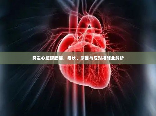 突发心脏瓣膜痛,症状、原因与应对措施全解析