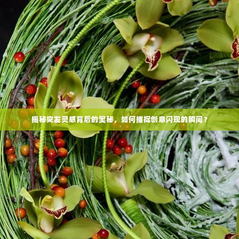 揭秘突发灵感背后的奥秘,如何捕捉创意闪现的瞬间?