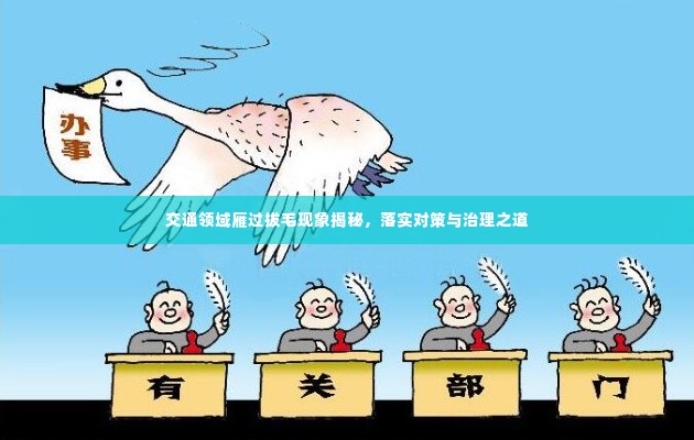 交通领域雁过拔毛现象揭秘,落实对策与治理之道