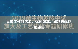 高效工作的艺术,优化效率,卓越表现达成秘籍