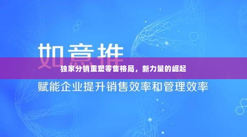 独家分销重塑零售格局，新力量的崛起