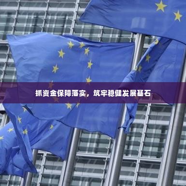 抓资金保障落实，筑牢稳健发展基石