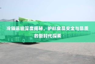 冷链运输深度揭秘,护航食品安全与品质的新时代探索