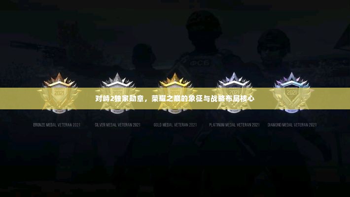 对峙2独家勋章,荣耀之巅的象征与战略布局核心