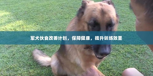 七嘴八张 第3页