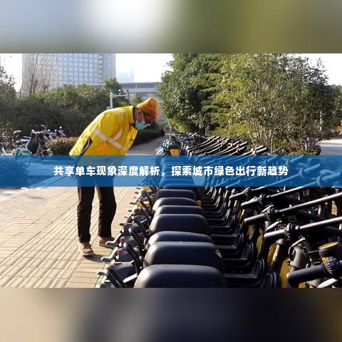 共享单车现象深度解析,探索城市绿色出行新趋势