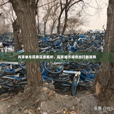 共享单车现象深度解析,探索城市绿色出行新趋势