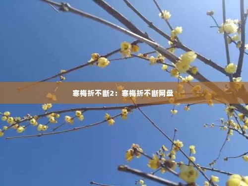 寒梅折不断2:寒梅折不断网盘