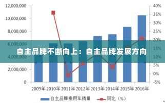 自主品牌不断向上:自主品牌发展方向