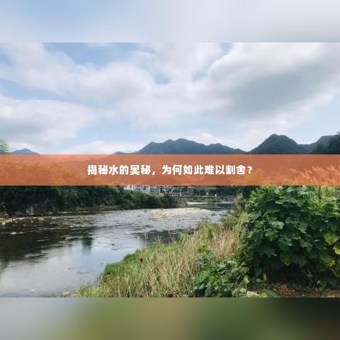 揭秘水的奥秘,为何如此难以割舍?